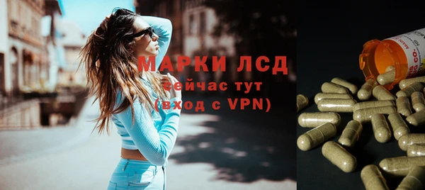 индика Армянск
