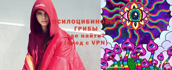 индика Армянск