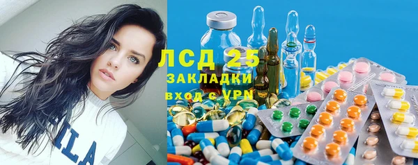 хмурый Арсеньев