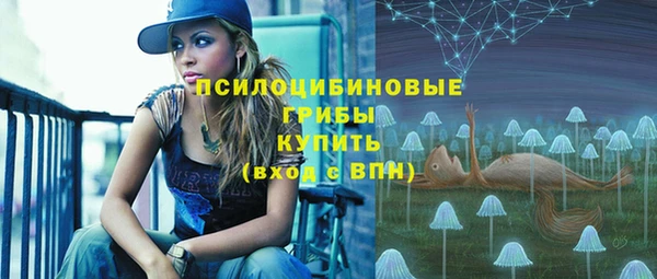 индика Армянск