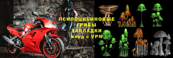 индика Армянск