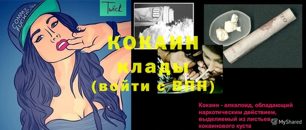 индика Армянск