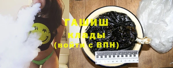 хмурый Арсеньев