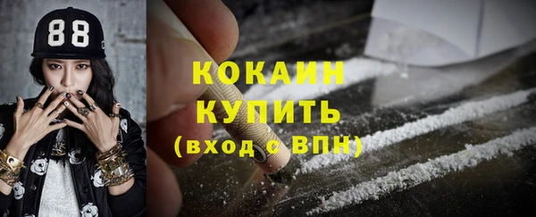 индика Армянск